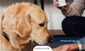 ​روش دادن دارو به سگ
