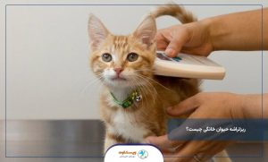 ریزتراشه حیوان خانگی چیست؟
