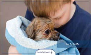 چطور از سگ بیمار مراقبت کنیم؟
