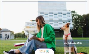 آیا سگ در زندگی من تاثیر مثبت داره؟ (10 مزیت علمی ثابت شده داشتن سگ)