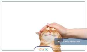 لیست پیشنهادی اسم برای گربه