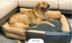 ویژگی های بهترین جای خواب سگ