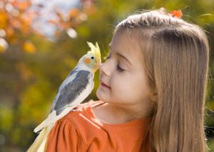 سوالات مهم قبل از خرید پرنده