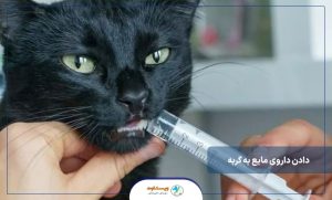 راه های دادن داروی مایع به گربه ‌ها