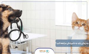 چه زمانی باید به دامپزشکی مراجعه کنید؟