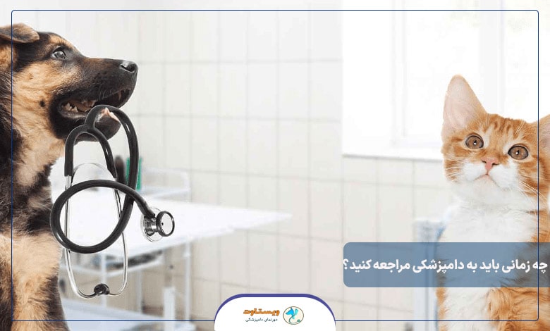 چه زمانی باید به دامپزشکی مراجعه کنید؟