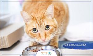 ارائه و شرح چک لیست سلامت گربه