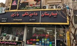 بیمارستان دامپزشکی درین