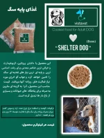 غذای پایه سگ