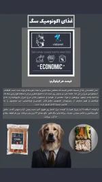 غذای اقتصادی سگ