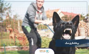 همه چیز درباره پرخاشگری سگ