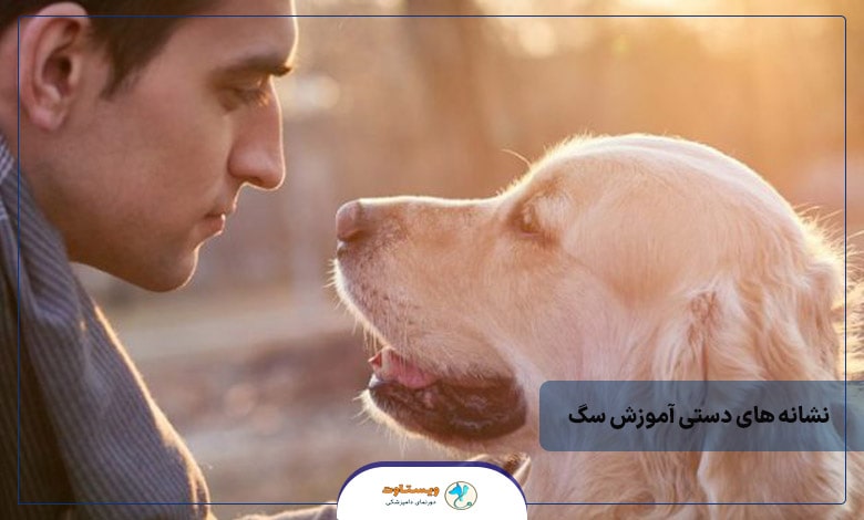 نشانه های دستی آموزش سگ