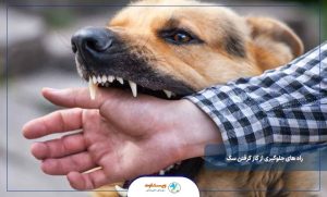 راه های جلوگیری از گاز گرفتن سگ